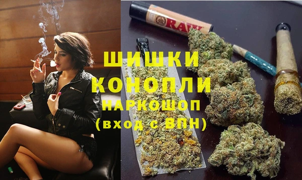 амф Осташков