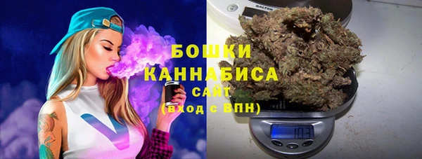 гидра Алапаевск