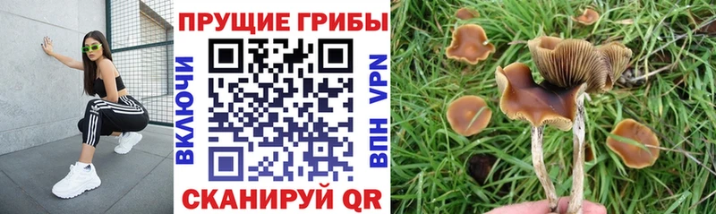 даркнет сайт  Ахтубинск  ОМГ ОМГ ССЫЛКА  Галлюциногенные грибы ЛСД 